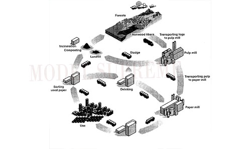 Model Supreme Paper Mills